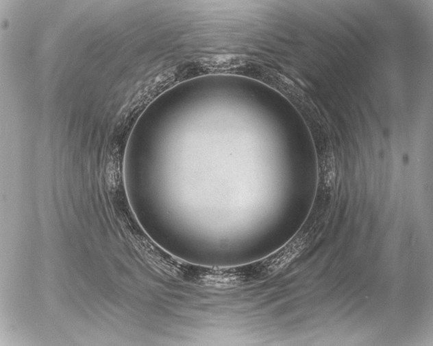X0000056360515200508261340