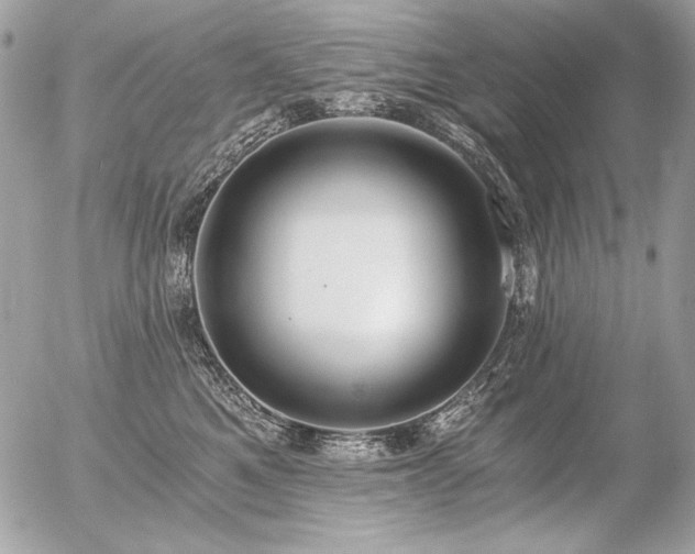 X0000056360521200508261340