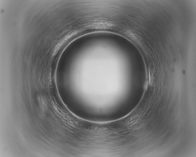 X0000056360531200508261340