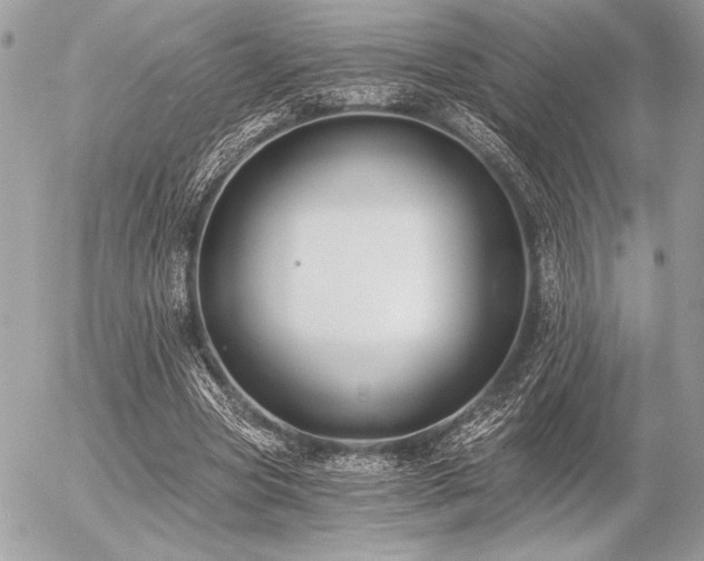 X0000056360537200508261340