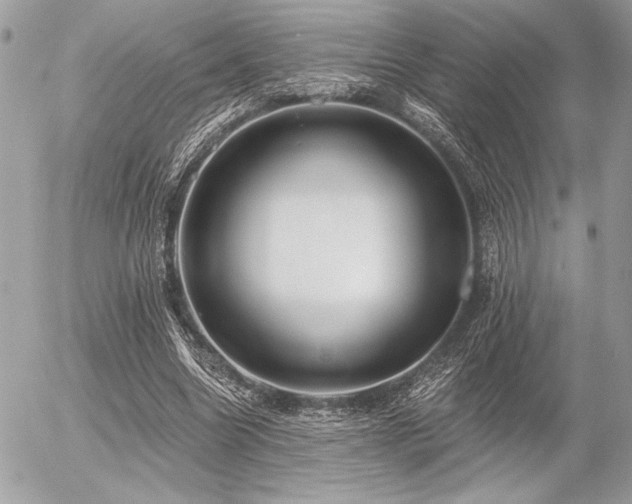 X0000056360538200508261340
