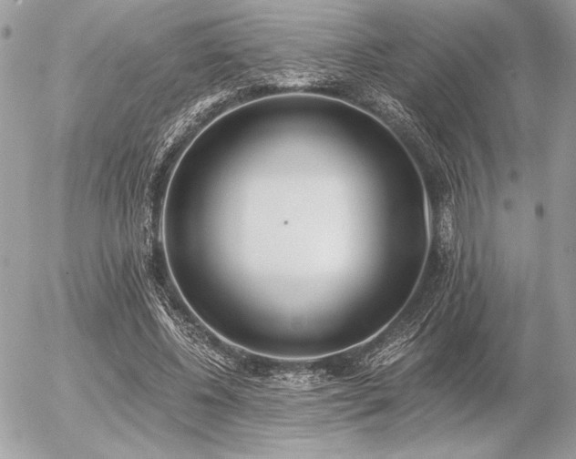 X0000056360540200508261340