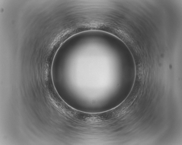 X0000056360544200508261340