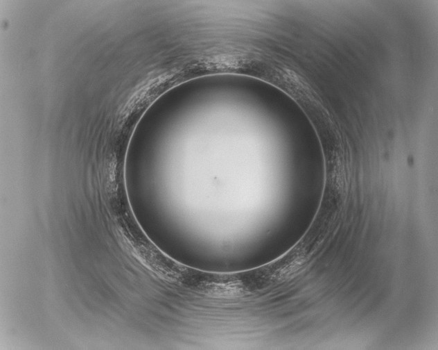 X0000056360548200508261340