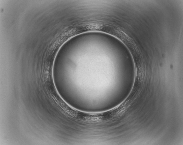 X0000056360553200508261340