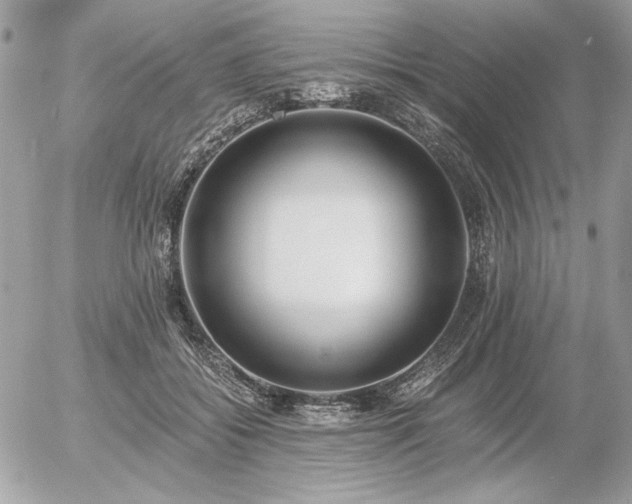 X0000056360556200508261340