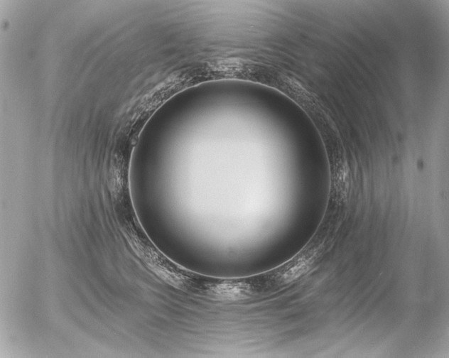 X0000056360566200508261340