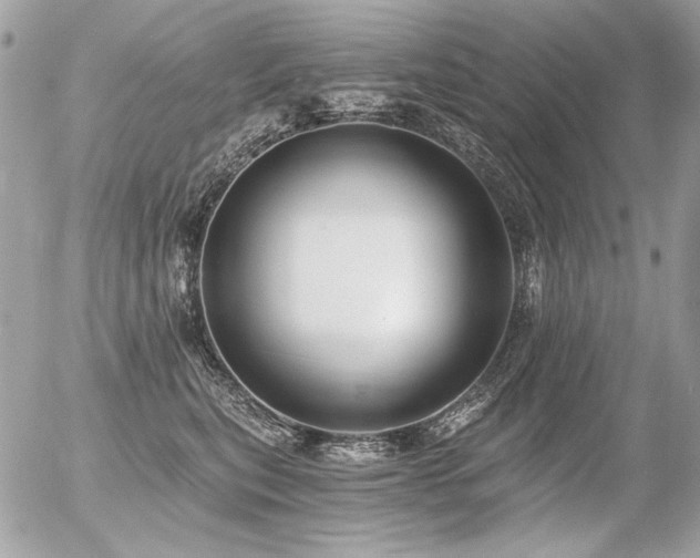 X0000056360567200508261340