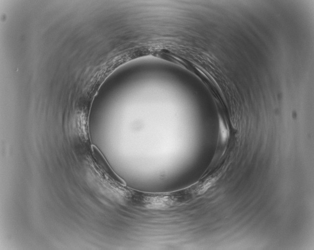 X0000056360575200508261340