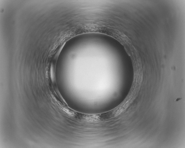 X0000056360576200508261340