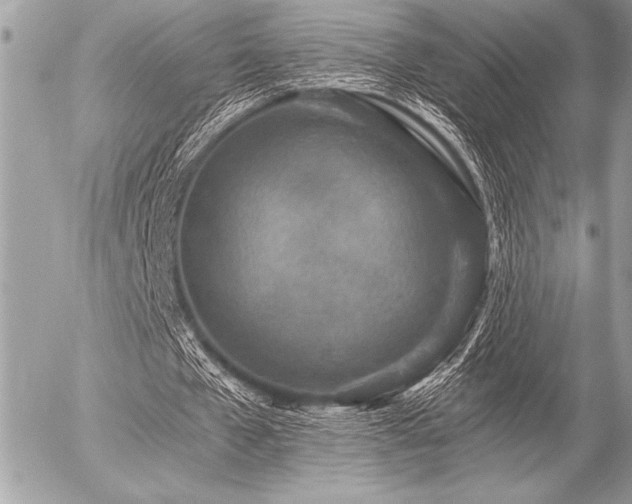 X0000056360577200508261339