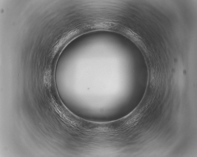 X0000056360578200508261339