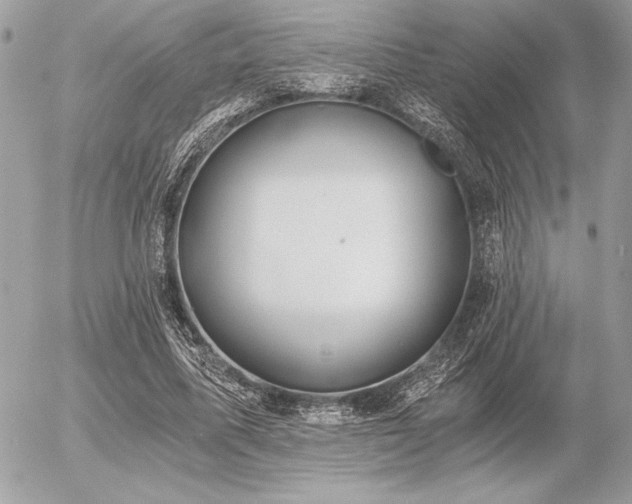 X0000056360587200508261339