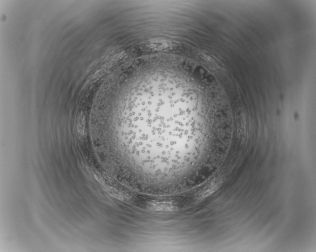 X0000056360606200508261339