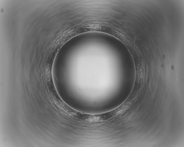 X0000056360609200508261339