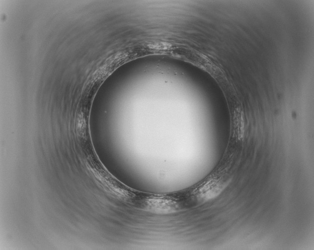 X0000056360614200508261339