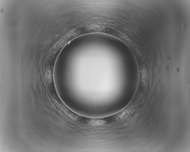 X0000056360617200508261339