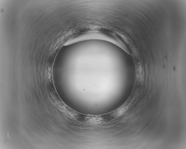 X0000056360621200508261339