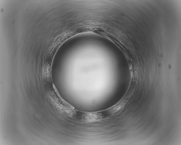 X0000056360623200508261339