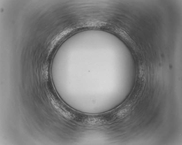 X0000056360632200508261338