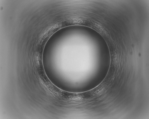 X0000056360643200508261338