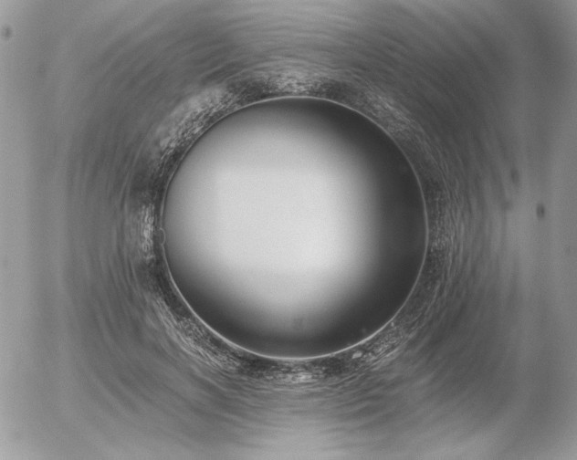 X0000056360646200508261338