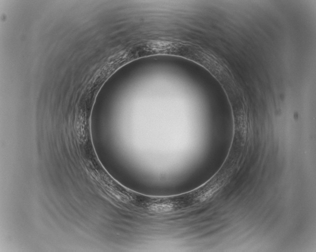X0000056360653200508261338
