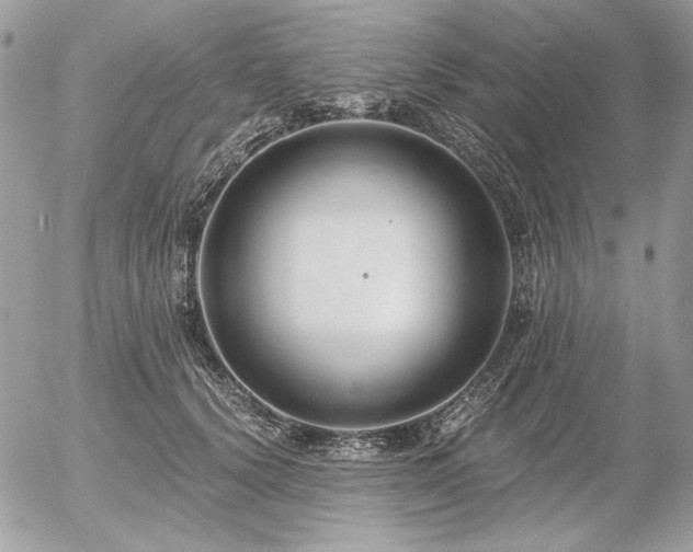 X0000056360656200508261338