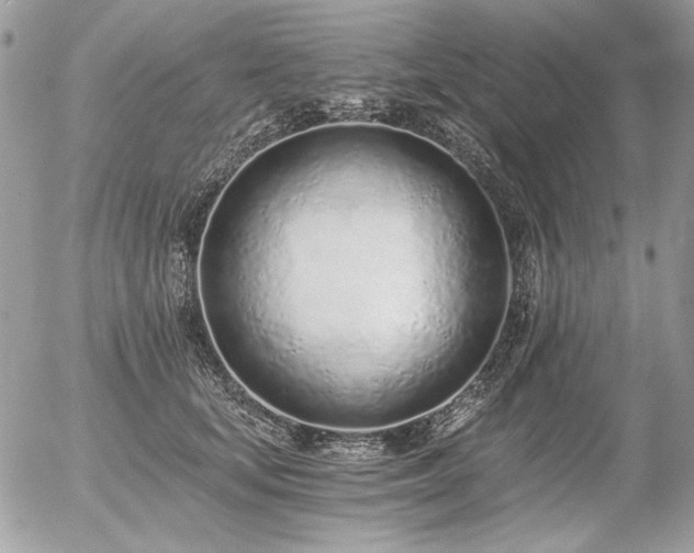 X0000056360659200508261338