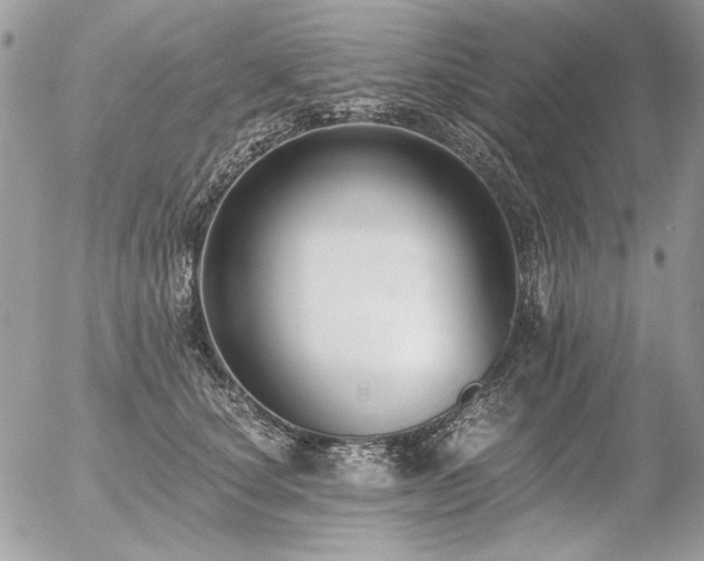 X0000056360660200508261338