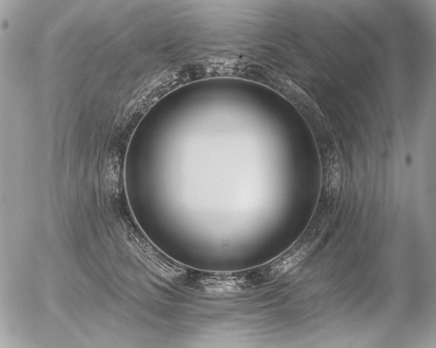 X0000056360661200508261338