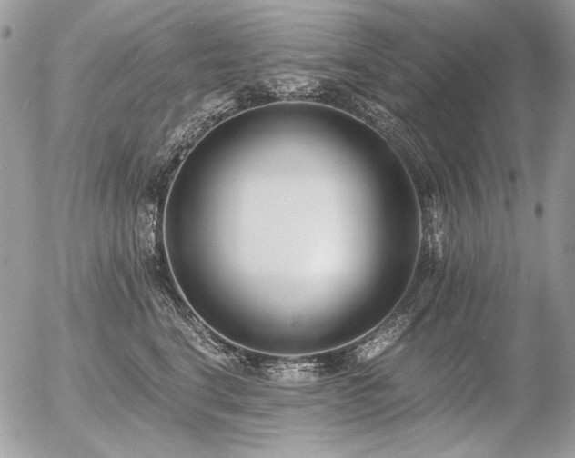 X0000056360664200508261339