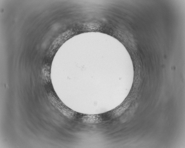 X0000056360672200508261339
