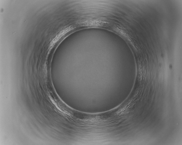 X0000056360674200508261338