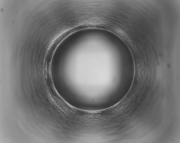 X0000056360680200508261338