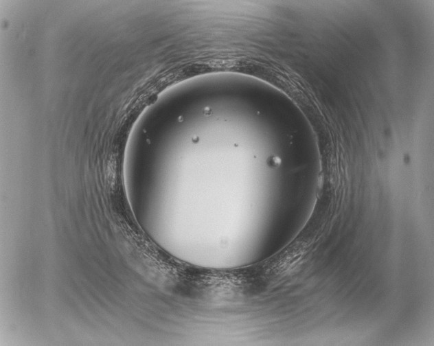 X0000056360697200508261337