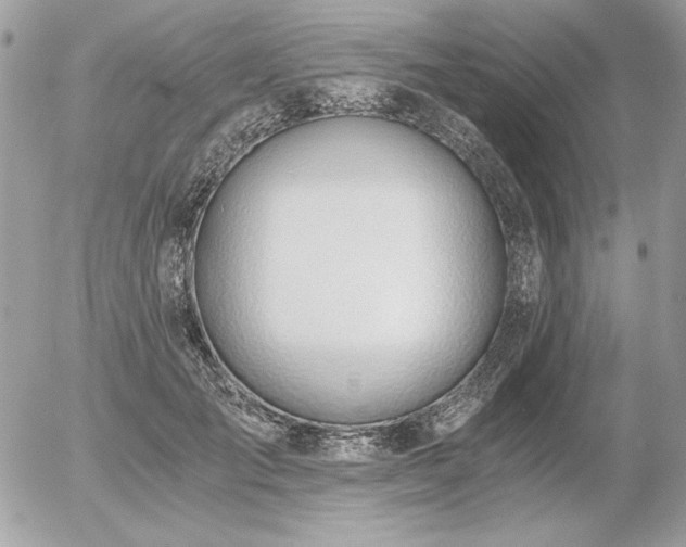 X0000056360701200508261337