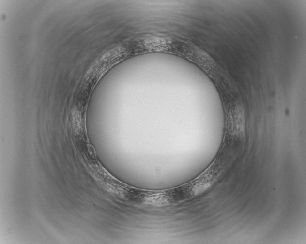 X0000056360705200508261337