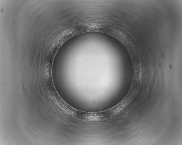 X0000056360710200508261337