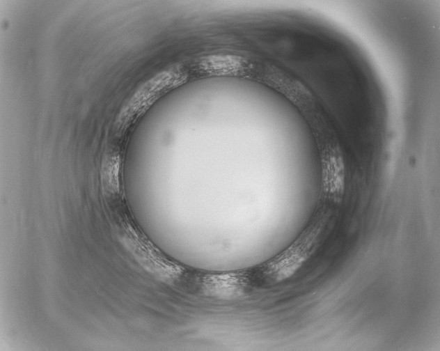 X0000056360717200508261337