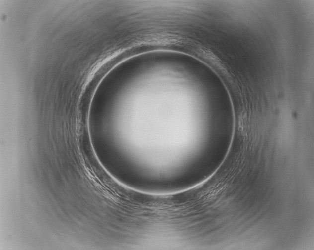 X0000056360724200508261336