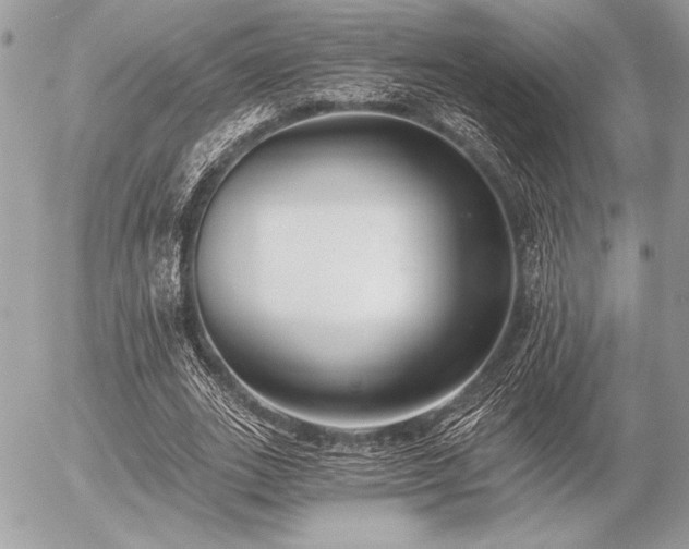 X0000056360727200508261336
