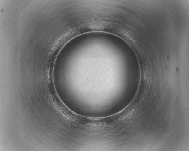 X0000056360733200508261336