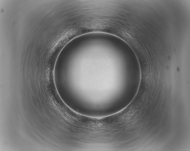 X0000056360735200508261337