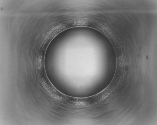 X0000056360741200508261337