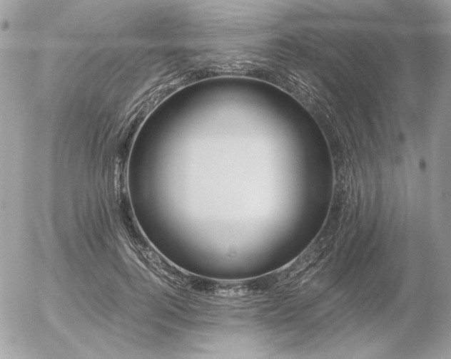 X0000056360744200508261337