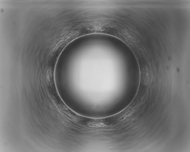 X0000056360747200508261337