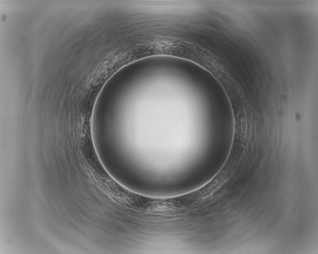 X0000056360750200508261337