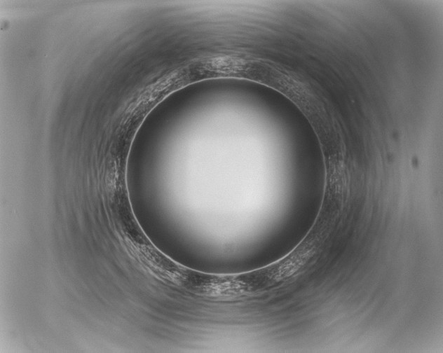X0000056360752200508261337