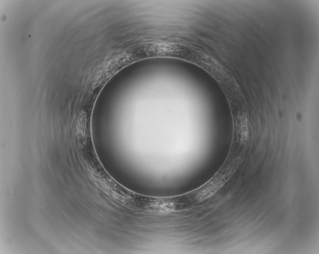 X0000056360760200508261337